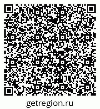 79068272381