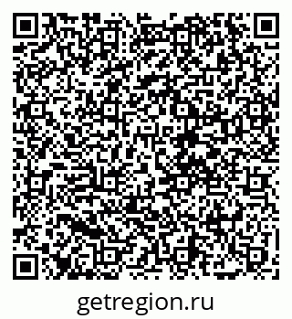 79068275981