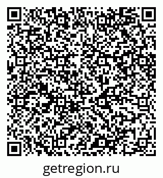 79068500381