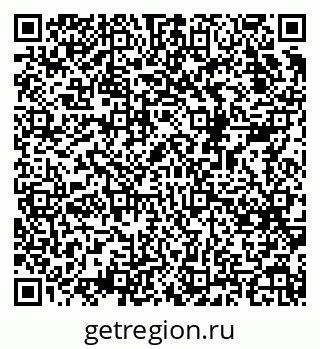 79068519981