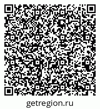 79068527204