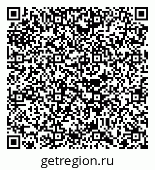 79068737904