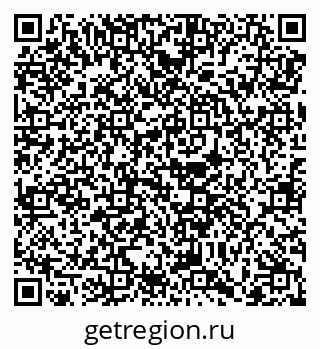 79068756804