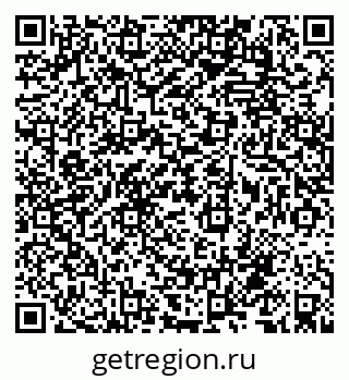 79068767538