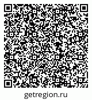 79068858381