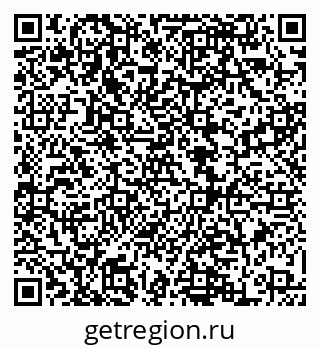 79068866141