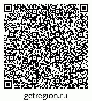 79069176658