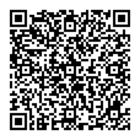 79080053833