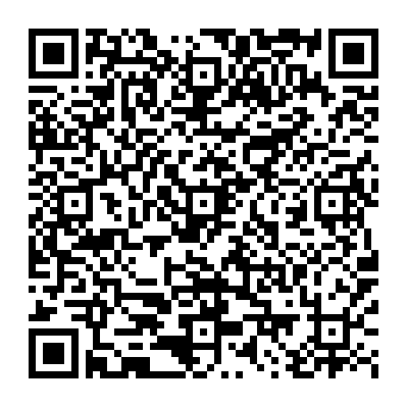 79080056241