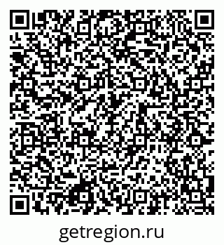 79080866541