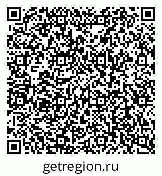 79080955504
