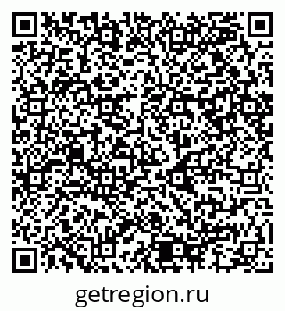 79080956804