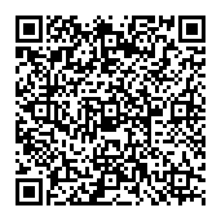 79090505554