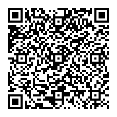 79094004049
