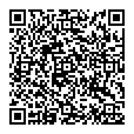 79100300295