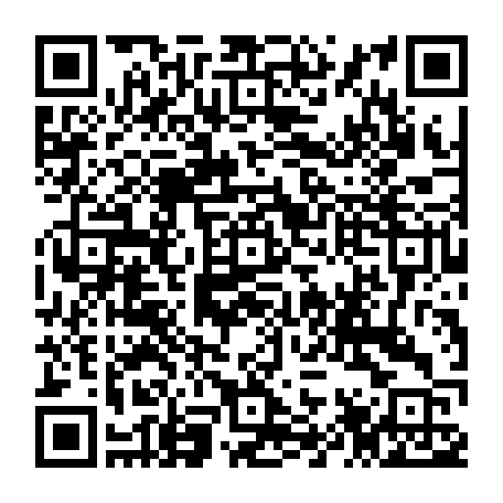 79100300339
