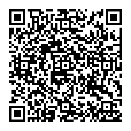 79100300419