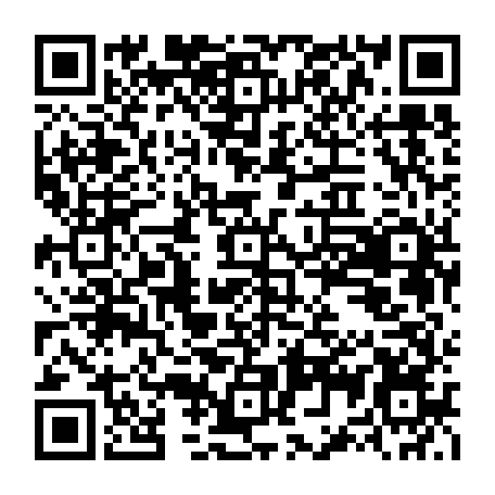 79100300539