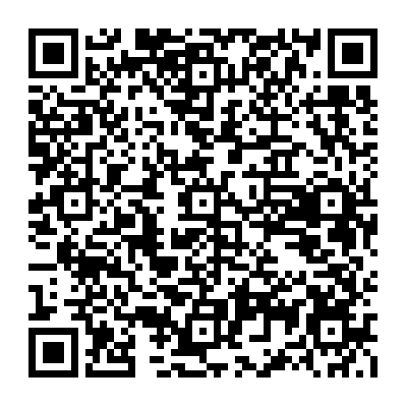 79100300541