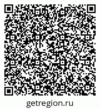 79100800528