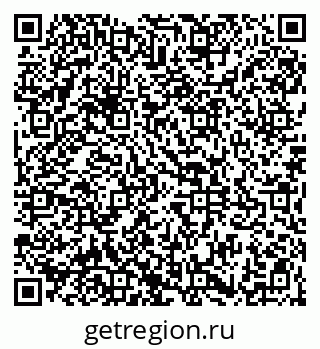 79101100381