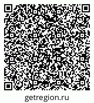 79102004381