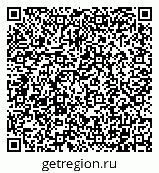 79102004411