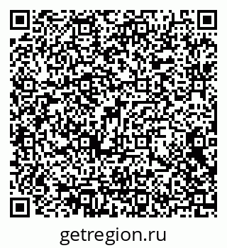 79102004528