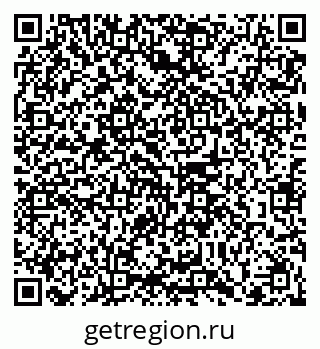 79102005041