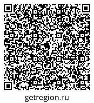 79102006411