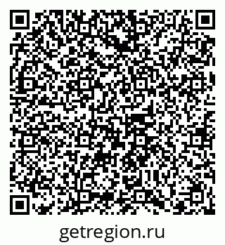 79102008381