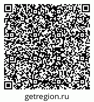 79102008411