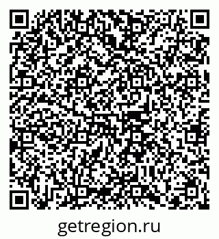 79102009061