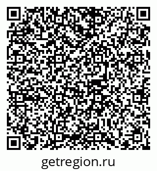79102009411