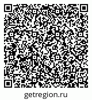 79102010411
