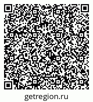 79120300411