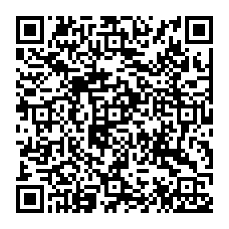79120528339