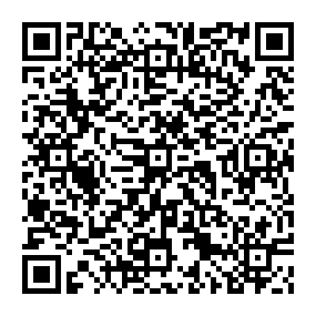79120593833