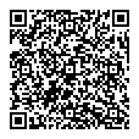 79120595041