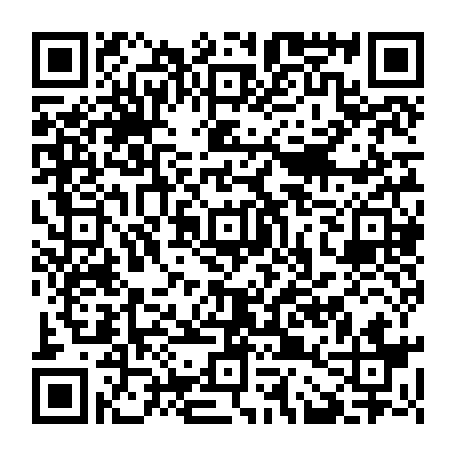 79125003354
