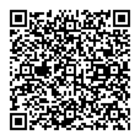 79170498829
