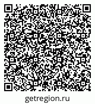 79176800338