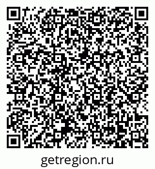 79178295204
