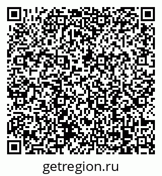 79178295355