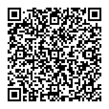 79195600291