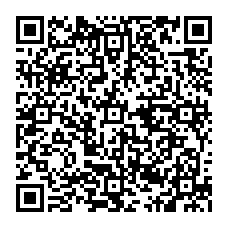 79210500381