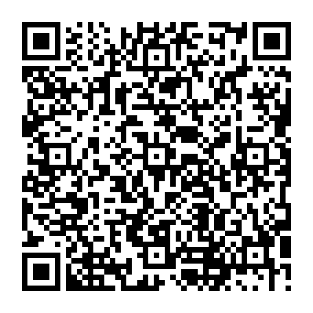 79210500411