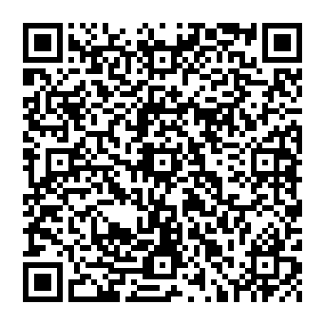 79210500954
