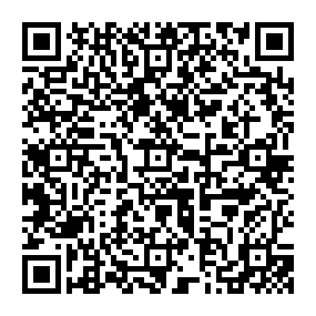79210505029