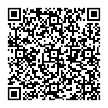 79210704217
